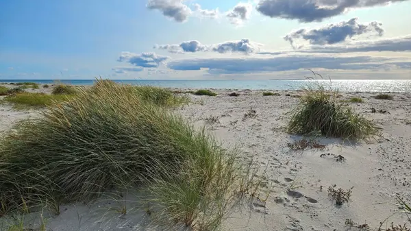 Bild 26 von 29