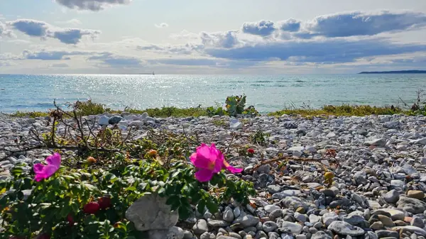 Bild 31 von 32