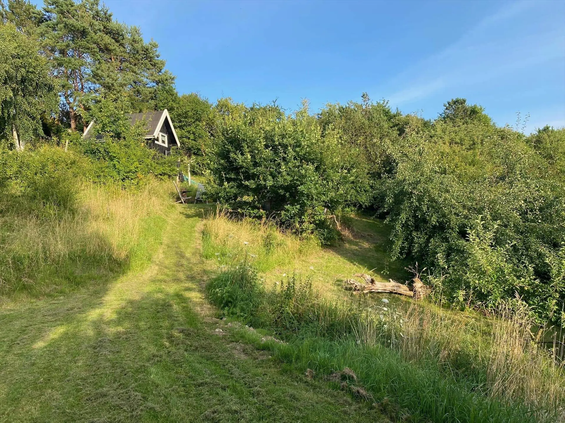 Bild 34 von 42