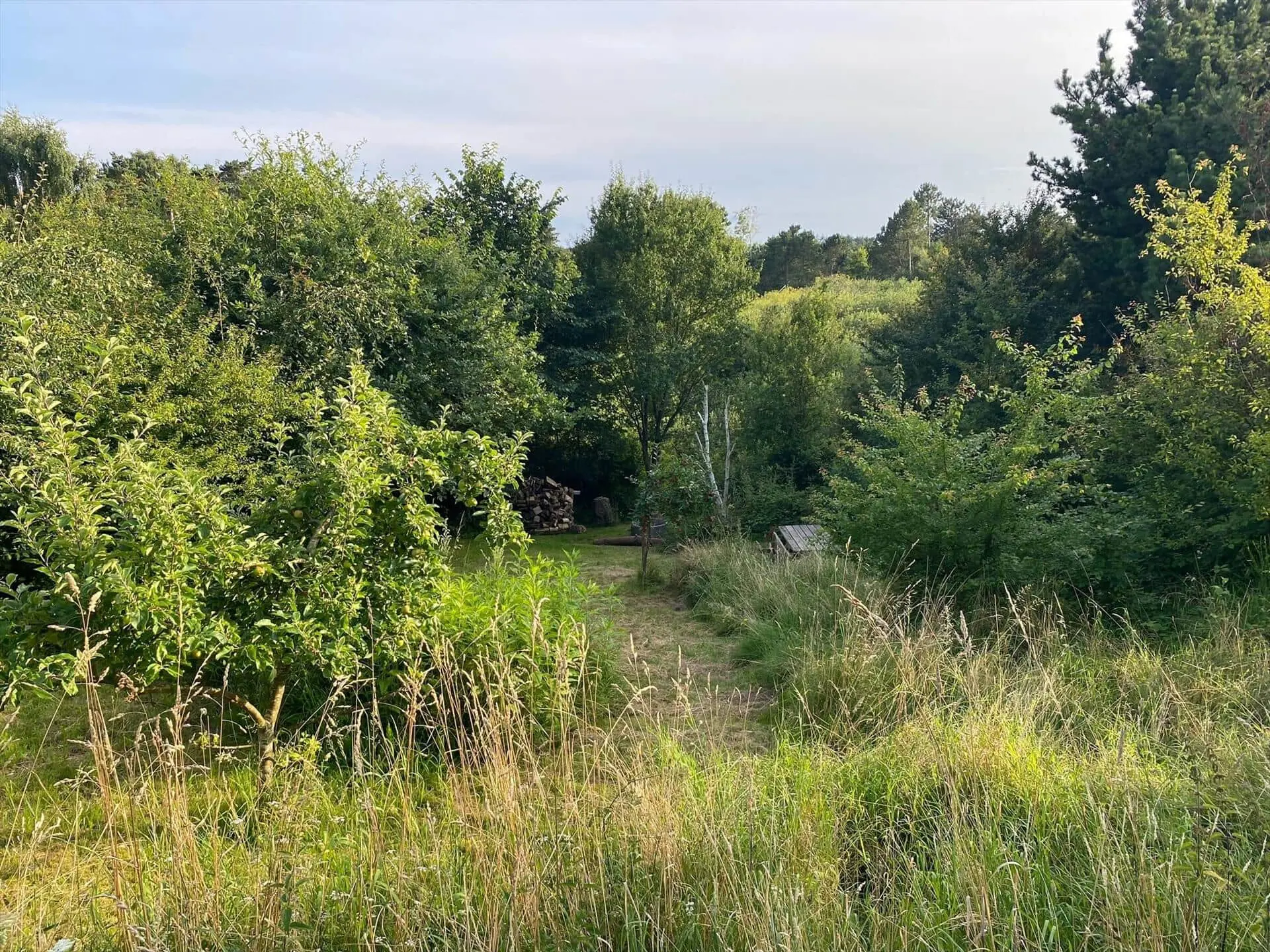 Bild 35 von 42