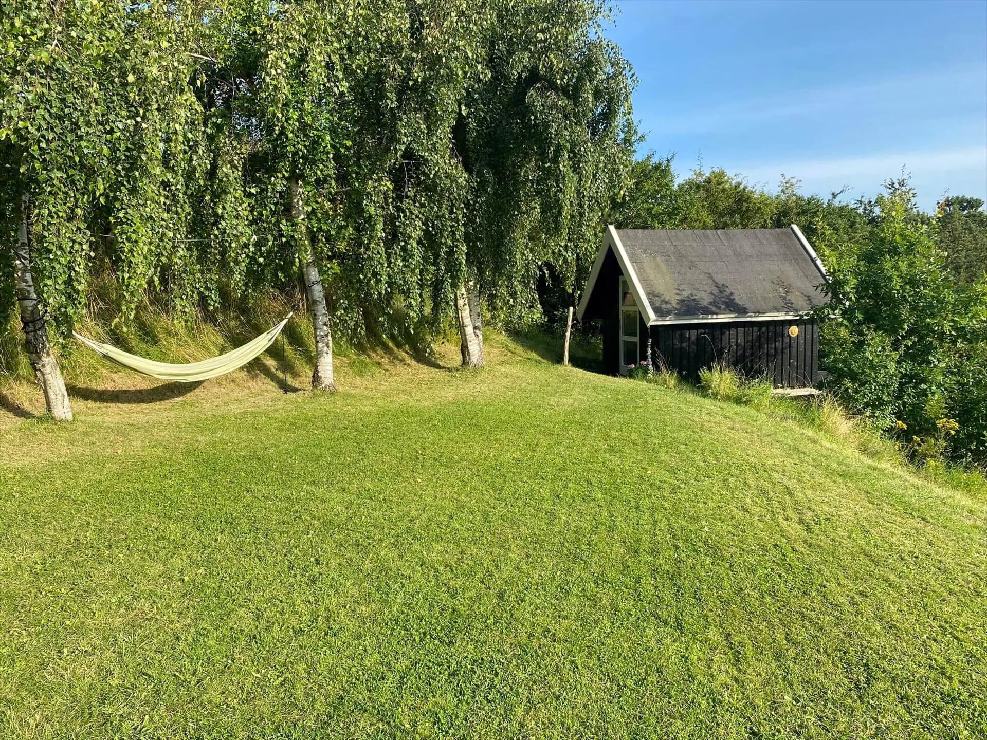 Bild 38 von 42