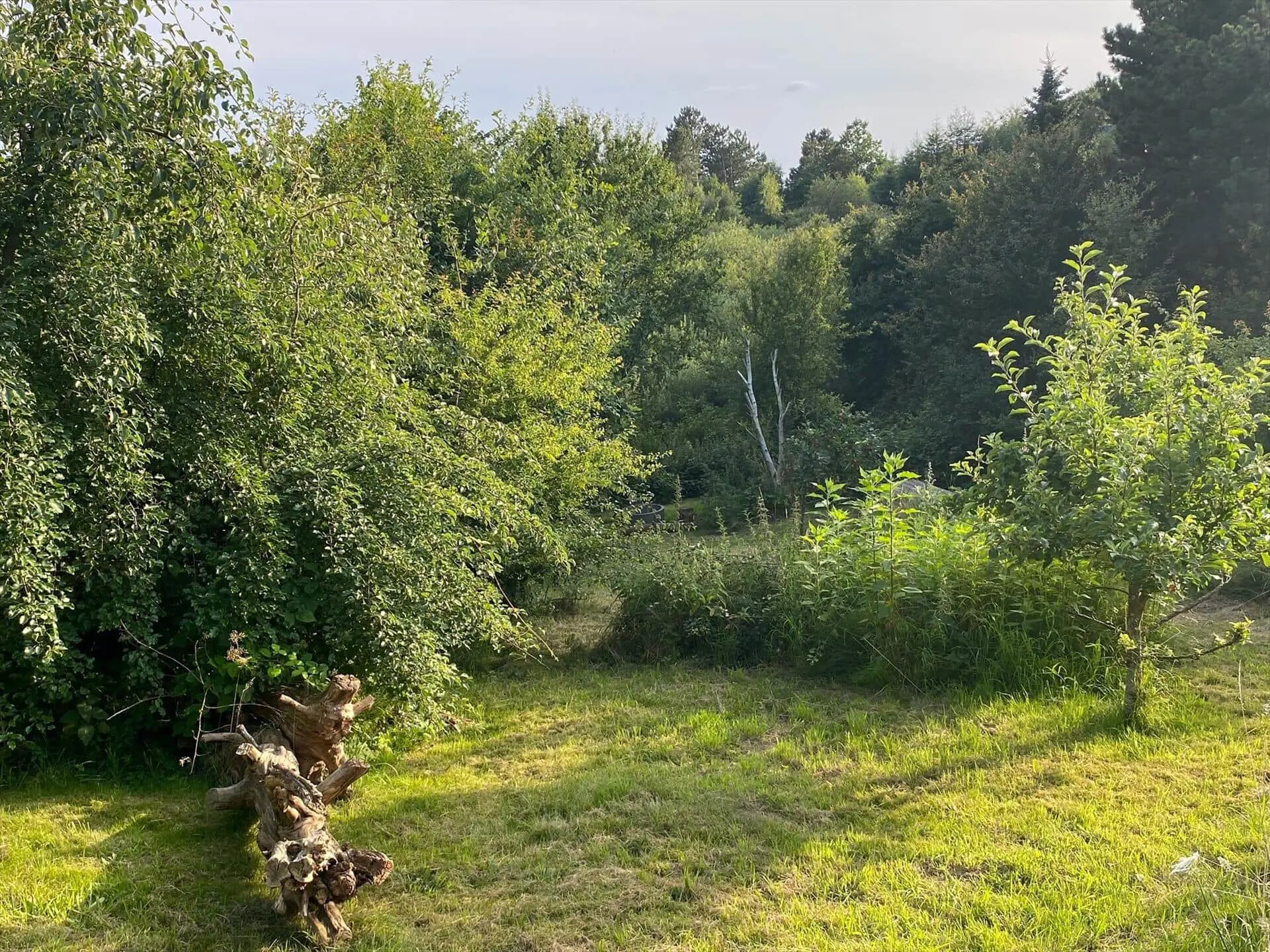 Bild 40 von 42