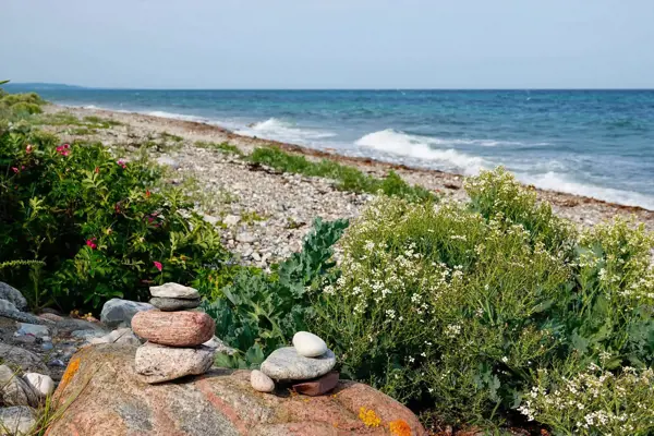 Bild 29 von 29