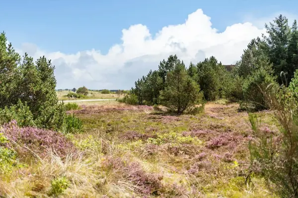 Ferienhaus 6620 in Bjerregårdsvej 1, Bjerregard | Bild 25 von 36