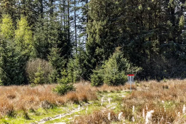 Bild 35 von 38