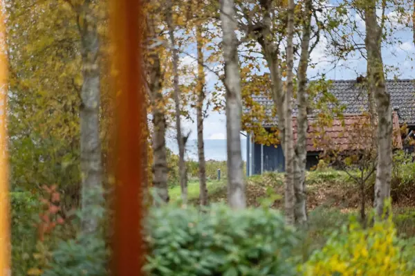 Ferienhaus OH611 in Egelunden 10, Helberskov | Bild 16 von 16
