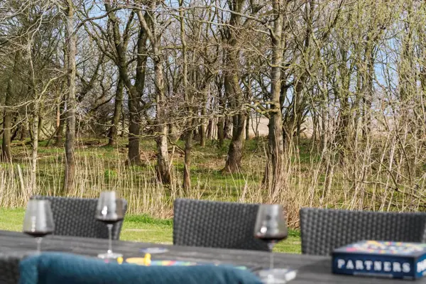 Bild 15 von 17