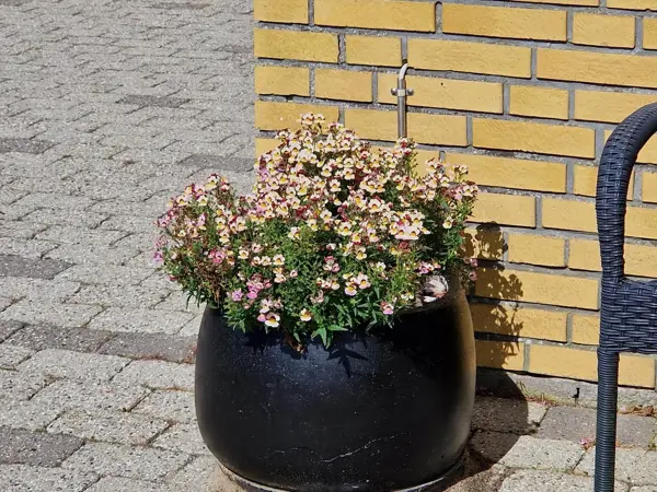 Bild 33 von 35