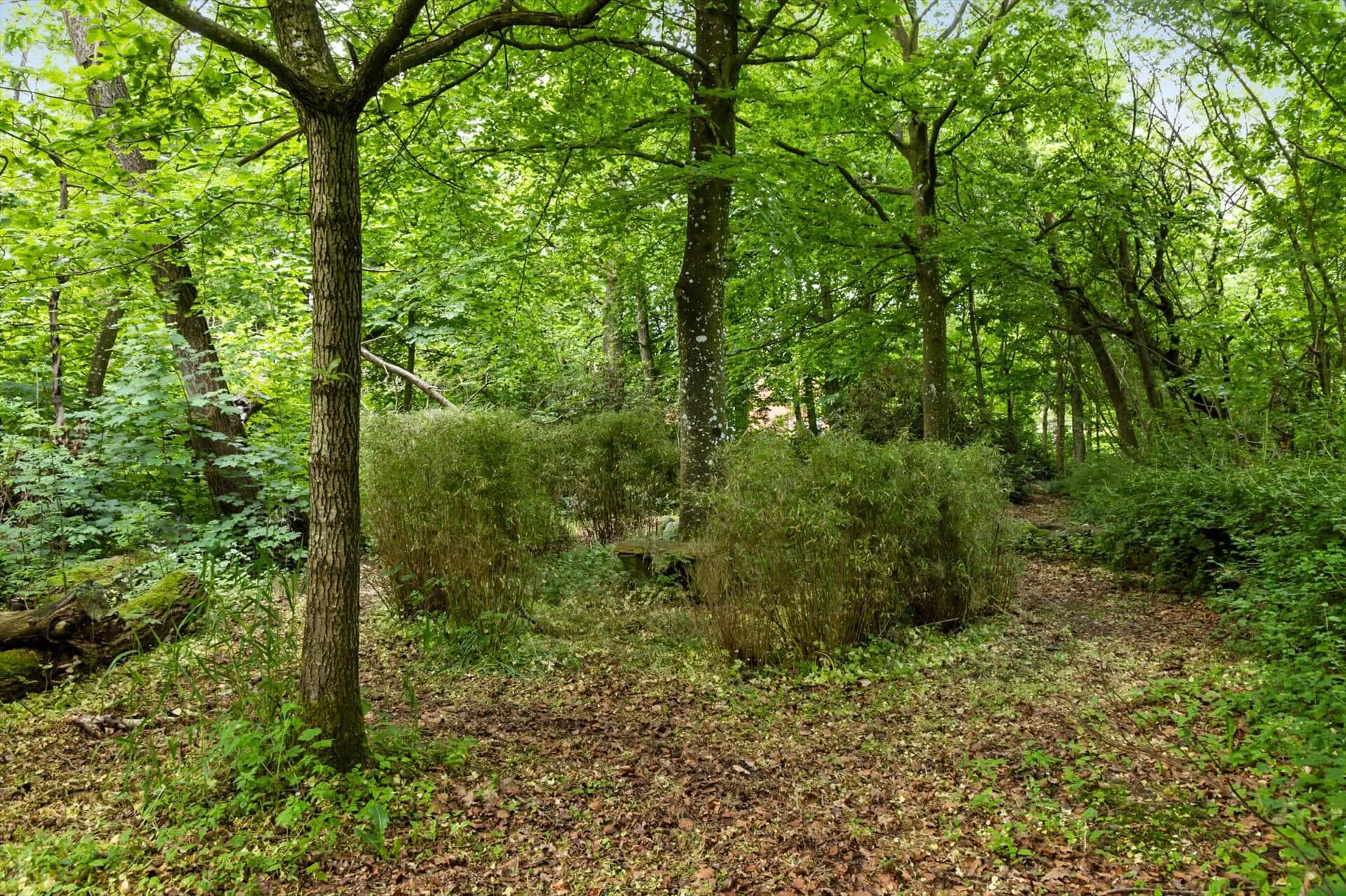 Bild 23 von 26