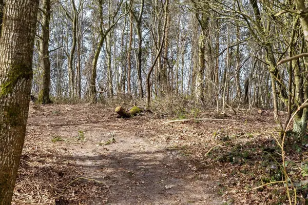 Bild 38 von 38