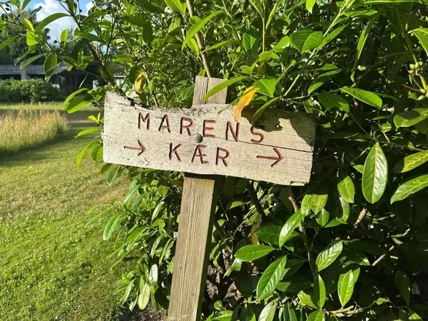 Bild 33 von 36