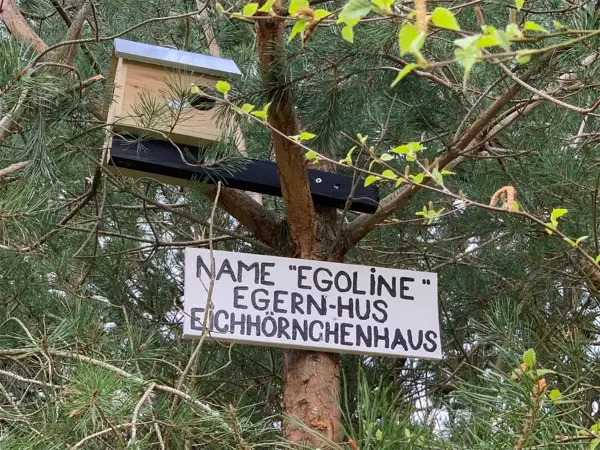Bild 22 von 23