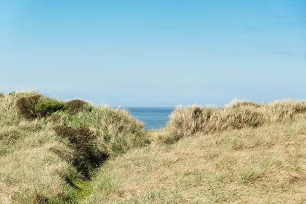 Ferienhaus LK2040 in Løkken / Jammerbucht Bild: 2