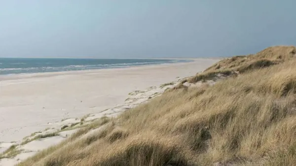Bild 28 von 29
