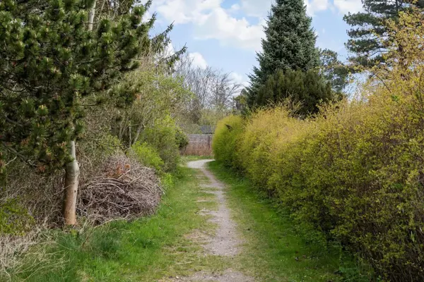 Bild 20 von 20