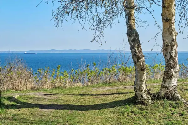 Bild 24 von 24