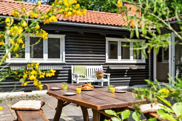 Ferienhaus 1646 in Hornbæk / Nordseeland