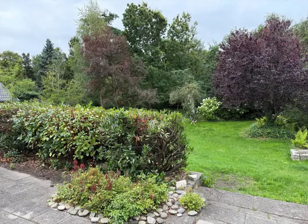 Bild 13 von 13