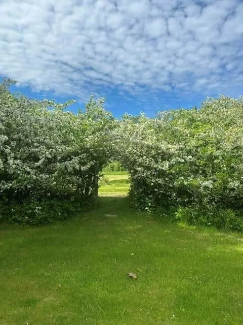 Bild 18 von 23