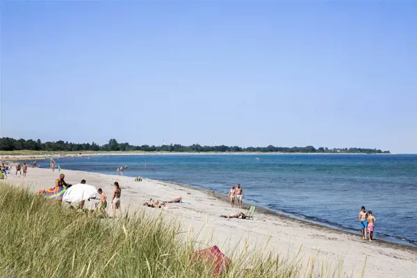 Bild 3 von 30