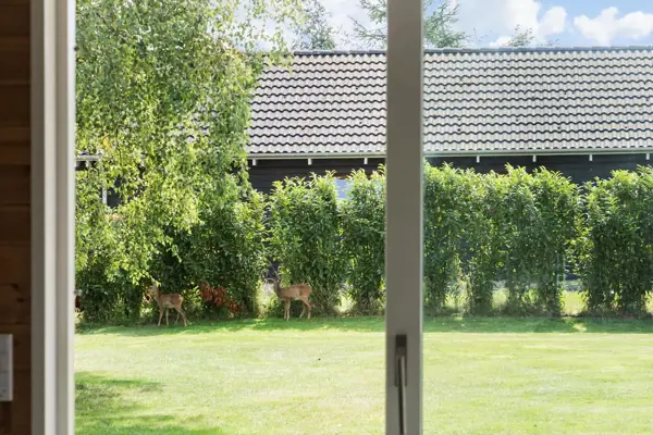 Bild 5 von 19