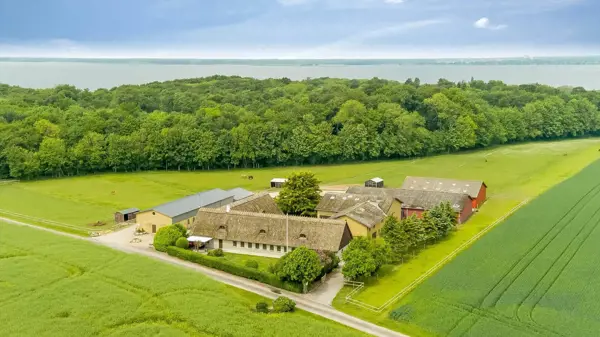 Ferienhaus M329 in Marielyst / Falster