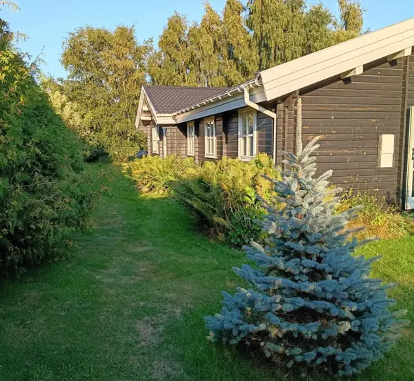 Ferienhaus M371 in Skovlystvej 69, Marielyst | Bild 28 von 28