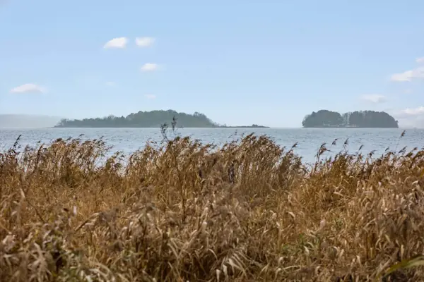 Ferienhaus F50502 in Flensborg Fjord / Südjütland Bild: 3