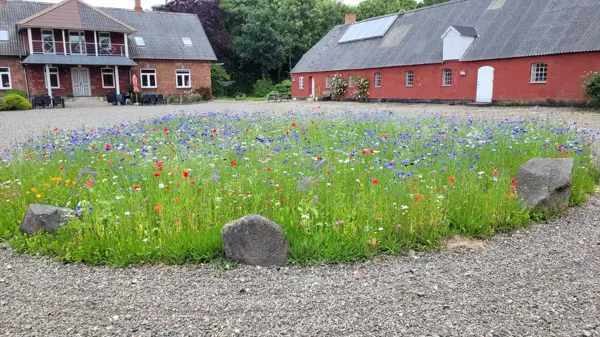 Bild 56 von 58