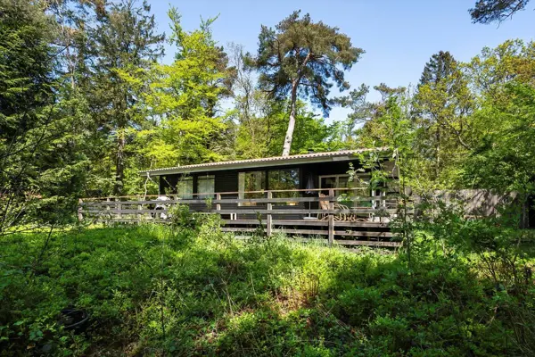Ferienhaus 2024 in Ulvshale Skov / Møn