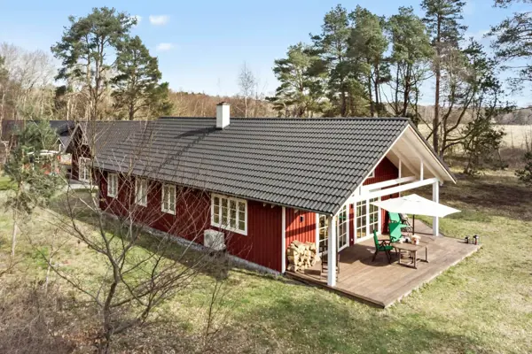 Ferienhaus 2315 in Ulvshale Skov / Møn