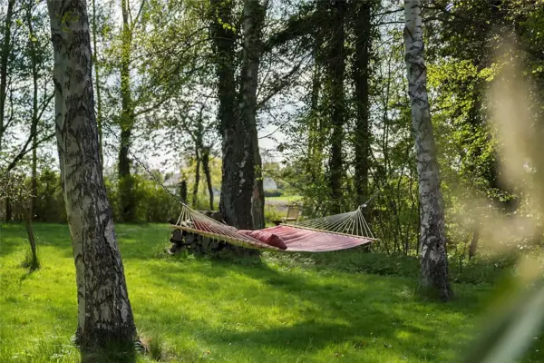 Bild 19 von 25