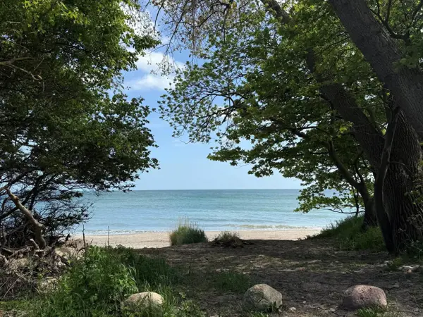 Bild 30 von 31