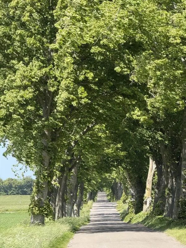 Bild 31 von 31