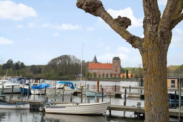 Bild 4 von 20