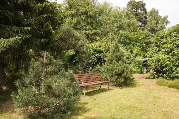 Bild 31 von 38