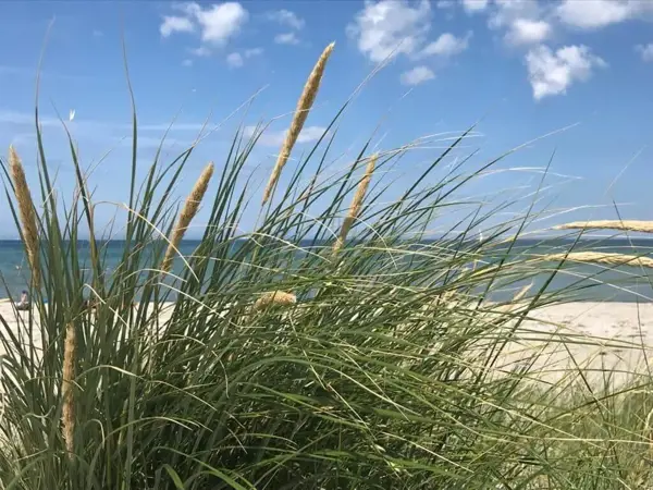 Bild 27 von 27