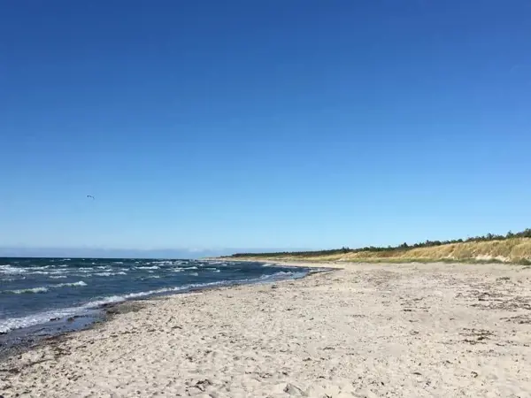 Bild 29 von 32
