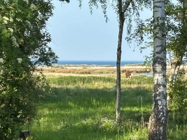 Bild 28 von 30