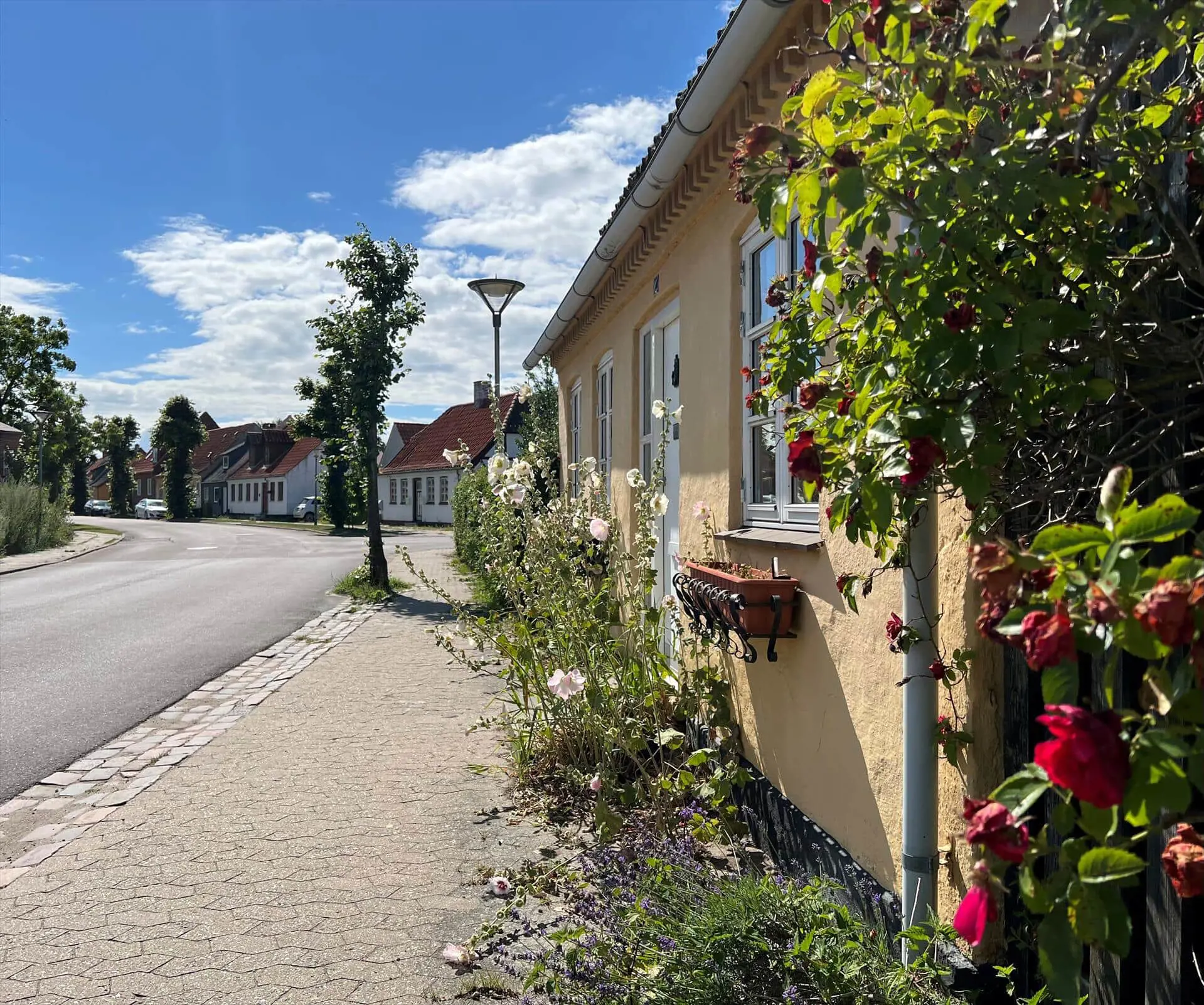 Bild 22 von 31