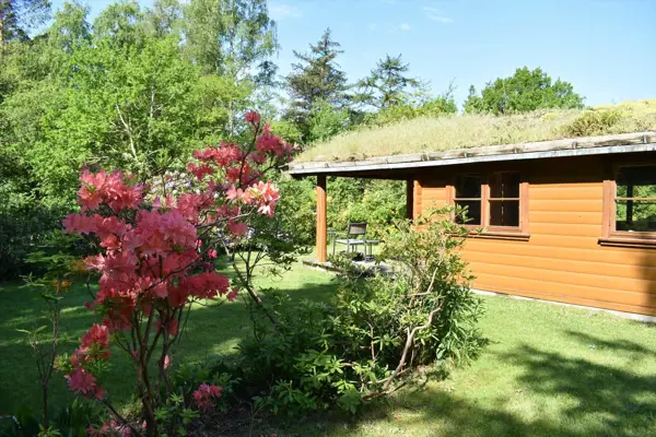 Ferienhaus 10084-1 in Rørvig / Odsherred