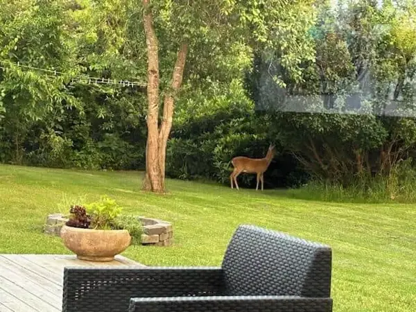 Bild 23 von 25