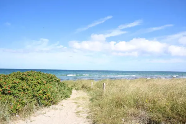 Bild 25 von 25