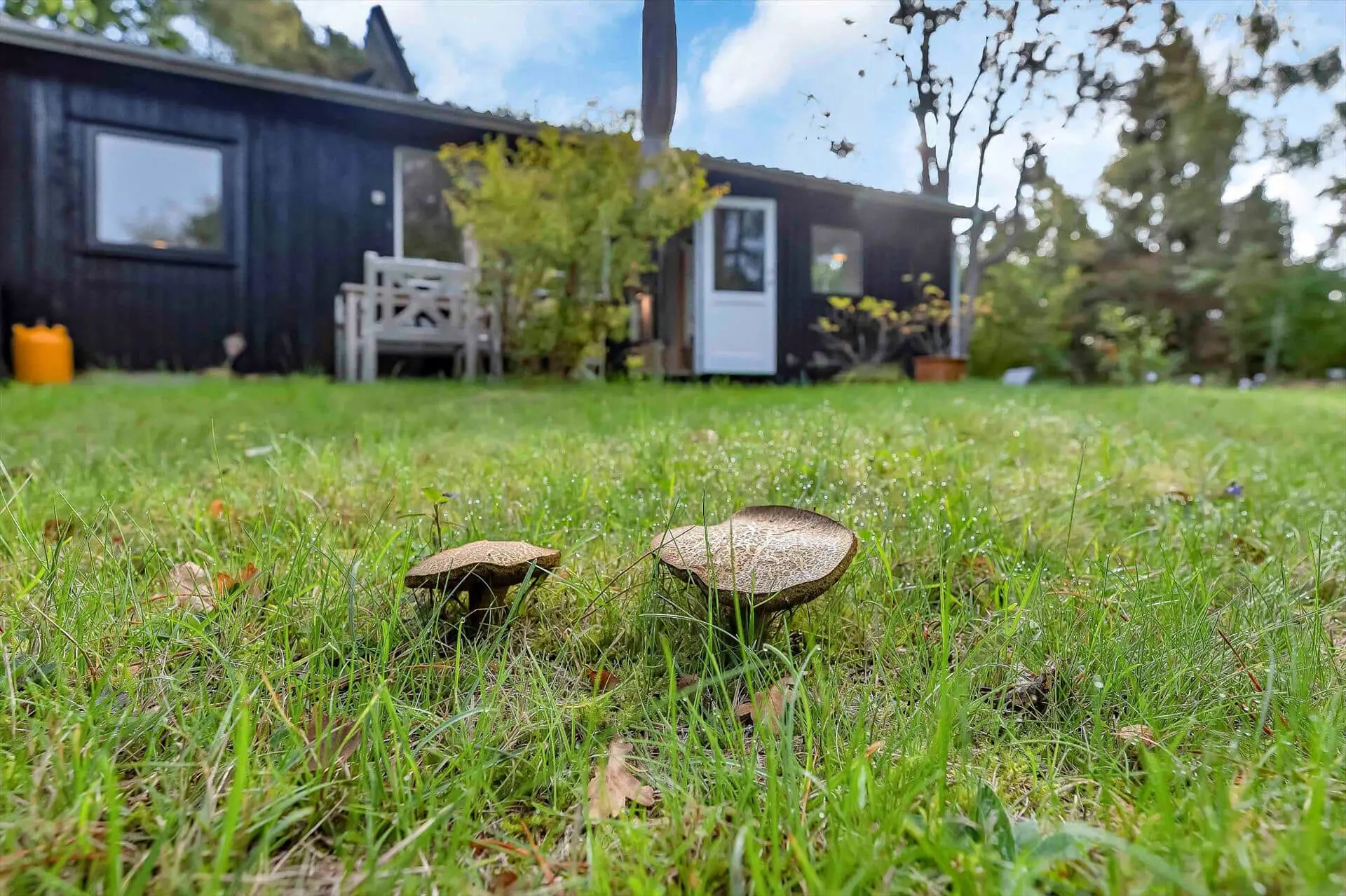 Ferienhaus 11119-1 in Dæmningen 11, Nykøbing Seeland | Bild 17 von 27