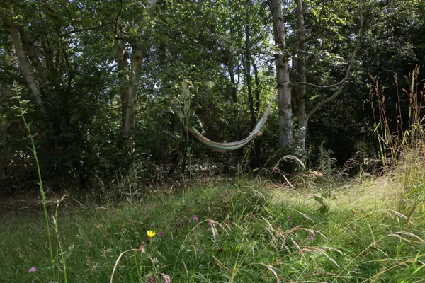 Bild 23 von 23