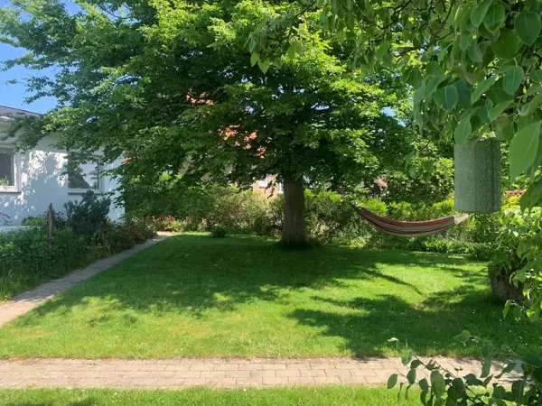 Bild 31 von 32