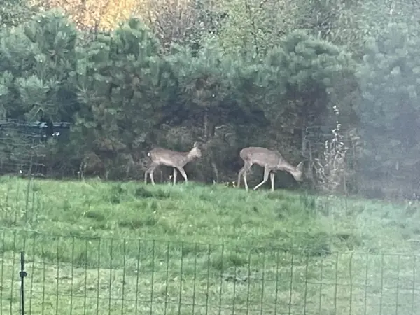 Bild 24 von 25