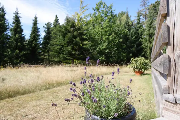 Bild 22 von 30