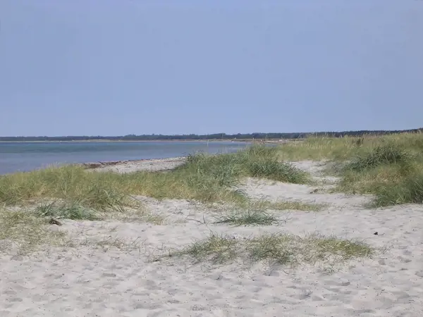 Bild 26 von 28