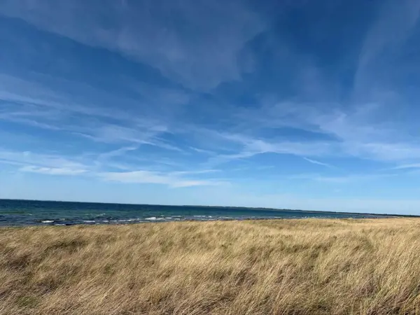 Bild 31 von 34